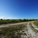 listing image thumbnail with ID 1554