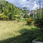 listing image thumbnail with ID 2318