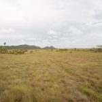 listing image thumbnail with ID 2680