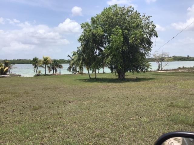 listing image with ID 4488