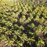 listing image thumbnail with ID 3756