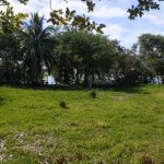 listing image thumbnail with ID 2320