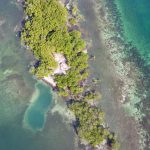 listing image thumbnail with ID 4777