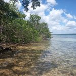 listing image thumbnail with ID 3860