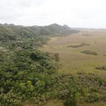 listing image thumbnail with ID 2687