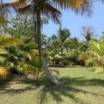 listing image thumbnail with ID 1970