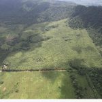 listing image thumbnail with ID 4788