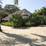 listing image thumbnail with ID 6531