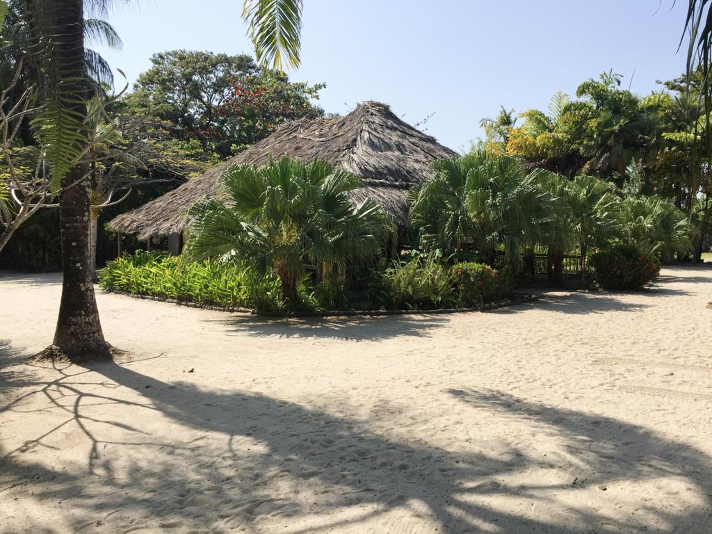 listing image with ID 6531