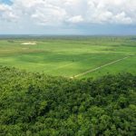 listing image thumbnail with ID 2028