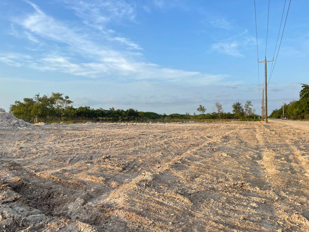 listing image with ID 2238