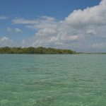 listing image thumbnail with ID 3649