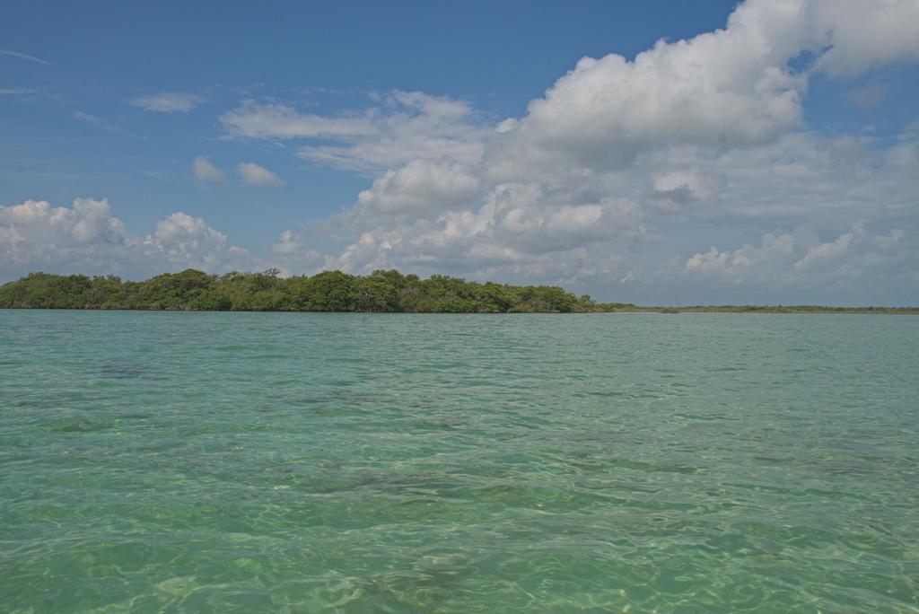 listing image with ID 3649