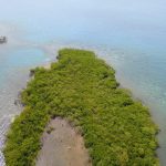 listing image thumbnail with ID 3849