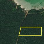 listing image thumbnail with ID 3893