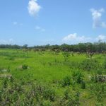 listing image thumbnail with ID 2563