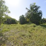 listing image thumbnail with ID 1628