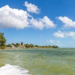 listing image thumbnail with ID 2088