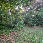 listing image thumbnail with ID 6338