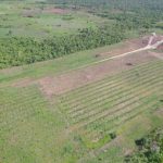 listing image thumbnail with ID 3746