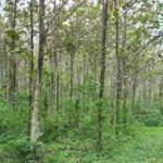 listing image thumbnail with ID 4789