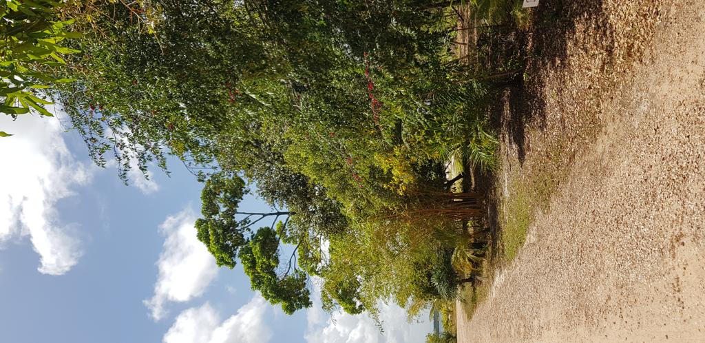 listing image with ID 1835