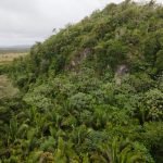 listing image thumbnail with ID 2676