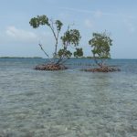 listing image thumbnail with ID 6499