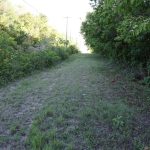 listing image thumbnail with ID 3867