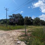 listing image thumbnail with ID 6147