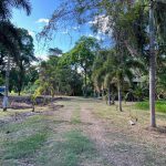 listing image thumbnail with ID 6045