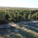 listing image thumbnail with ID 3146