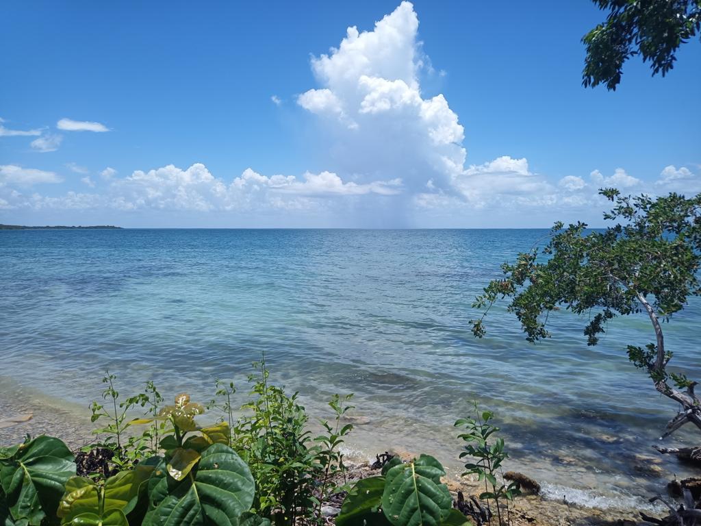 listing image with ID 3858
