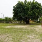 listing image thumbnail with ID 2545