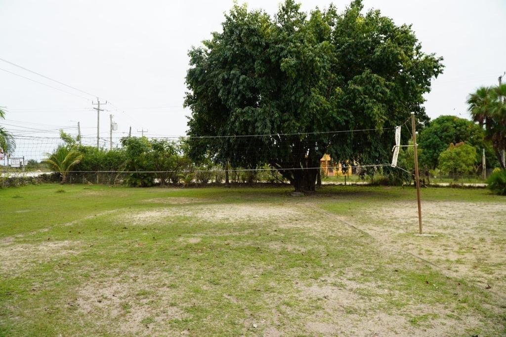 listing image with ID 2545