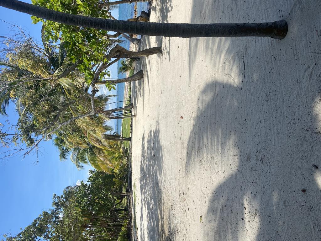 listing image with ID 4711