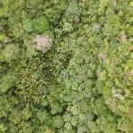 listing image thumbnail with ID 2679