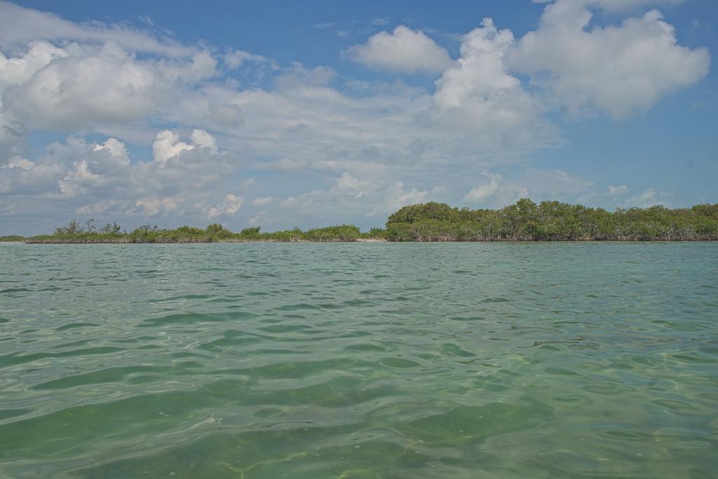 listing image with ID 3653