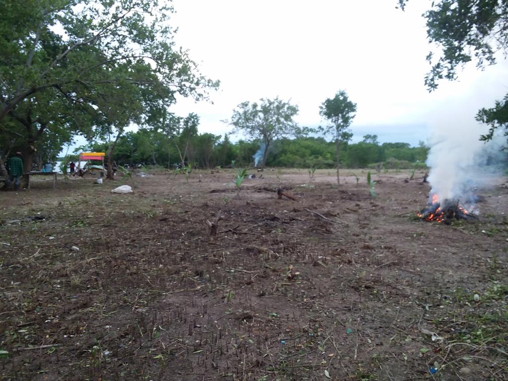 listing image with ID 2559