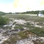 listing image thumbnail with ID 2983