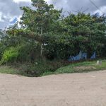 listing image thumbnail with ID 2091