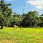 listing image thumbnail with ID 5742