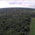 listing image thumbnail with ID 1324