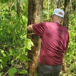 listing image thumbnail with ID 4629