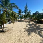 listing image thumbnail with ID 2220