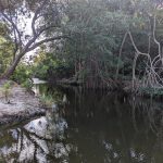 listing image thumbnail with ID 6148