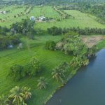 listing image thumbnail with ID 2972