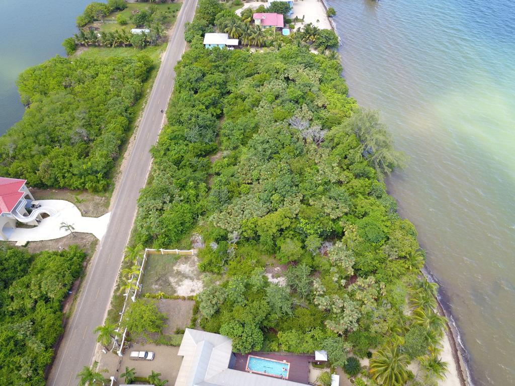 listing image with ID 4118