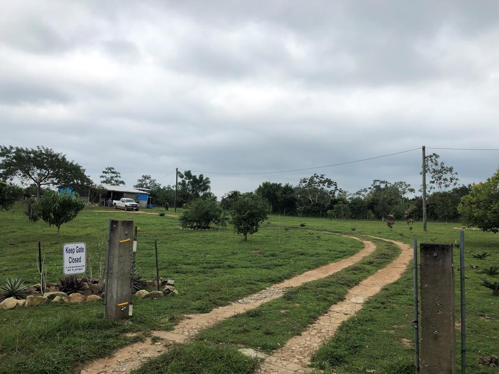 listing image with ID 1319