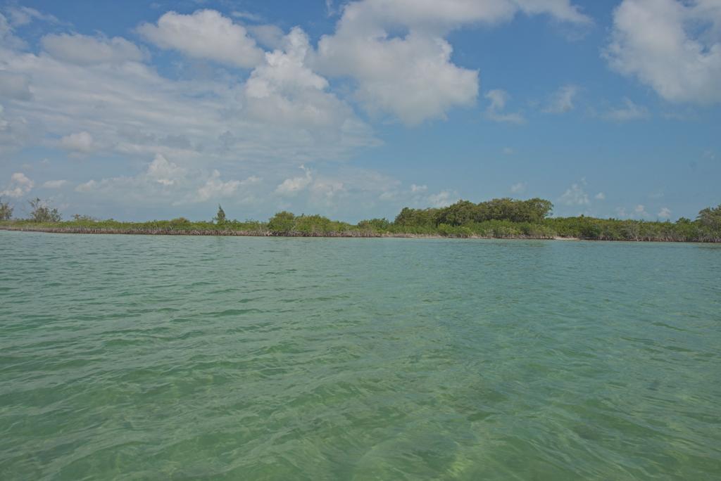 listing image with ID 3652